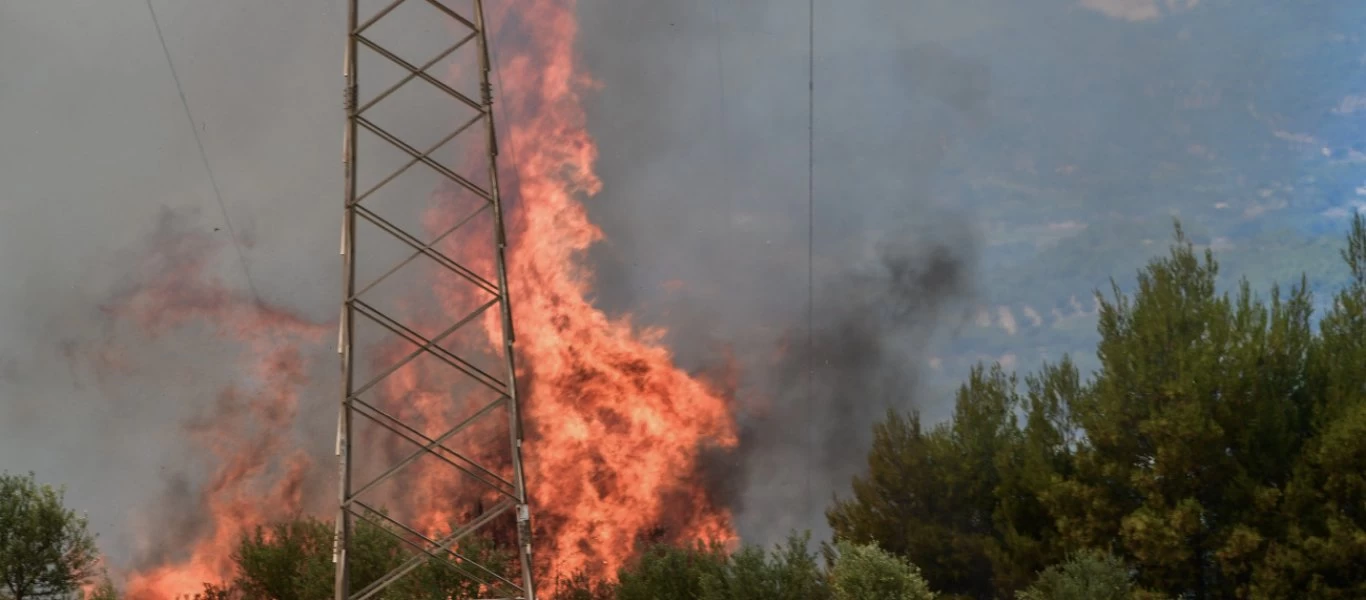 Φωτιά στην Ωλένη Ηλείας - Επιχειρούν δυνάμεις της πυροσβεστικής